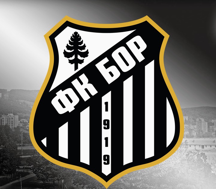FK Bor 1919 Logo